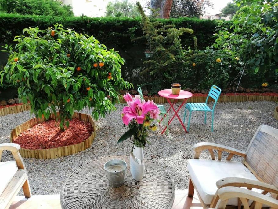 Beauvallon Plage - Magnifique T2 Avec Jardin, Proche Centre, Mer Antibes Extérieur photo